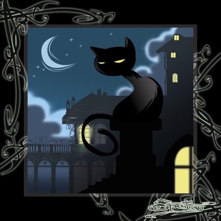 Черная кошка на крыше