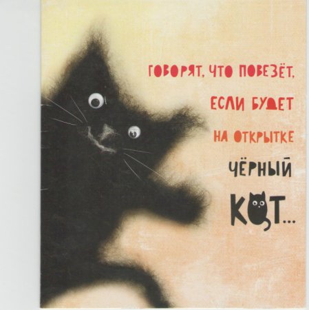 Всемирный день черного кота