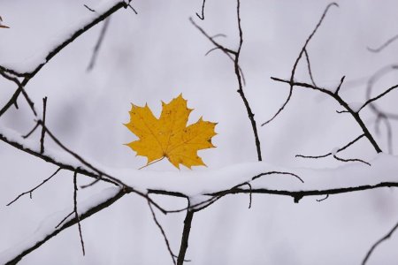30 Декабря последний день осени