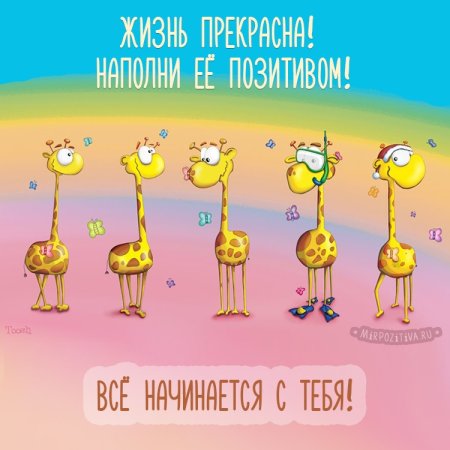 Смешные пожелания хорошего дня