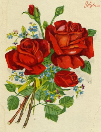 Цветы рисунок