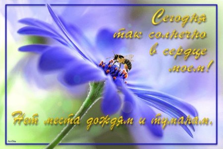 С новым днем пожелания