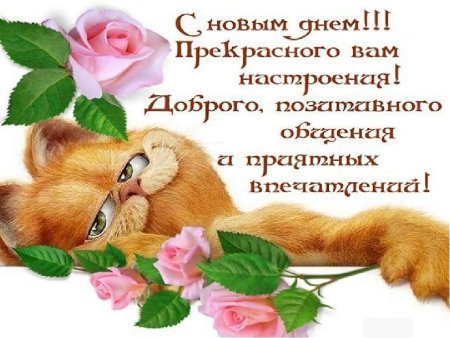 Поздравления с новым днем