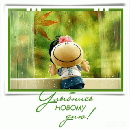 Здравствуй, новый день!