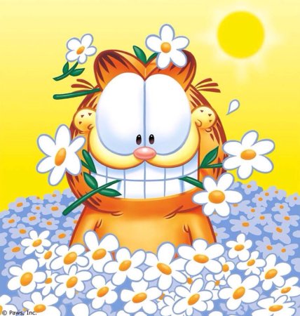 Позитивные открытки