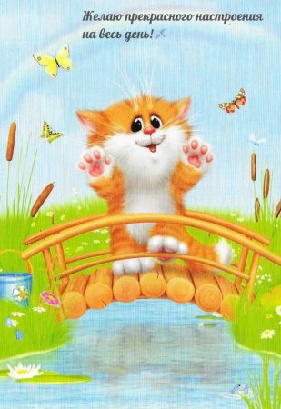 Кот желает хорошего настроения