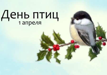 Праздник птиц