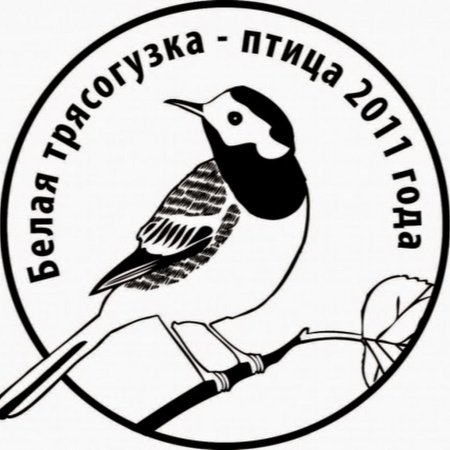 Символ охраны птиц России трясогузка