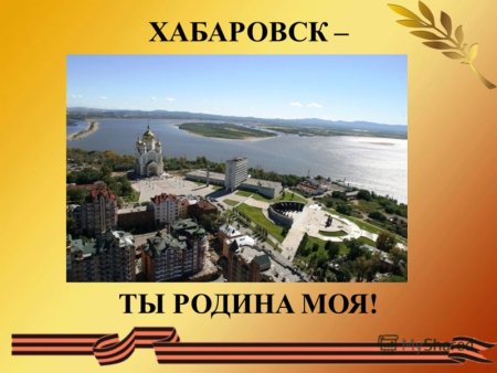 Хабаровск проекты