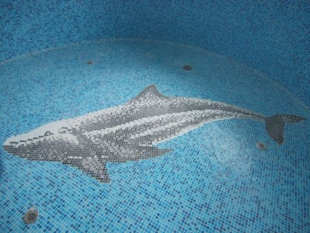 Панно из мозаики на дно бассейна
