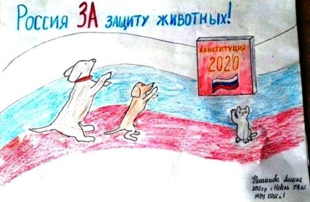 Рисунок на тему день Конституции
