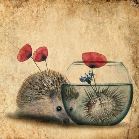 Иллюстрации к книгам