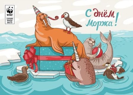 День моржа