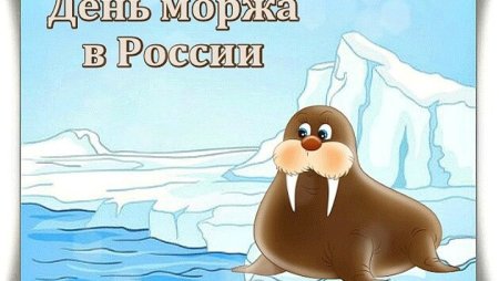 Открытка морж