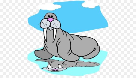 День моржа 24 ноября
