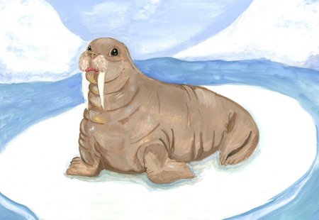 С днем рождения морж