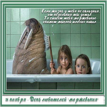 Лежбище моржей на острове Врангеля