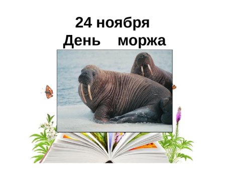 Иллюстрации животных в одежде