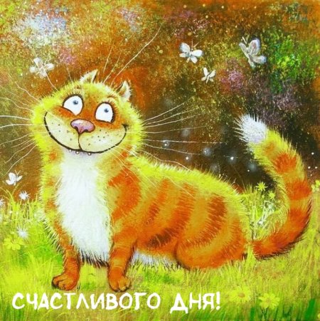 Ирина Зенюк рыжий кот