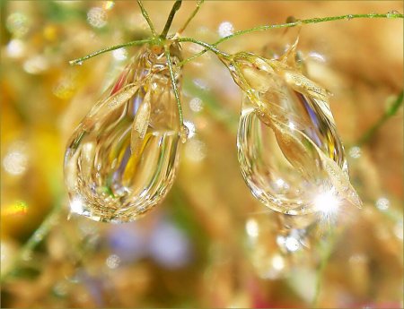 Хрустальная свадьба поздравления