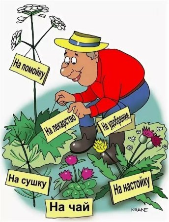 Карикатура дача