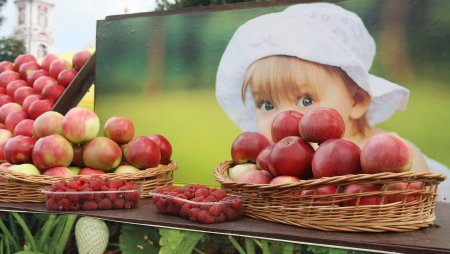 День дачника в России