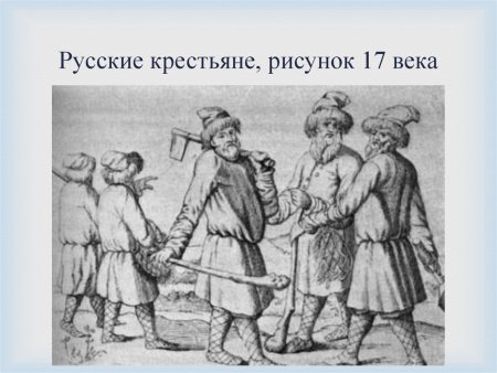 Черносошные крестьяне 17 век