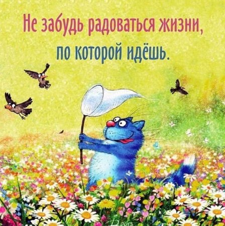 Весёлого и радостного дня