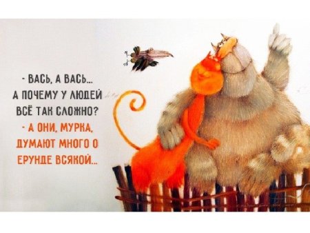 Хорошего дня юмор