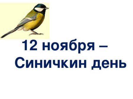 12 Ноября день птиц синички-