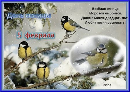 Поздравление с днем синички