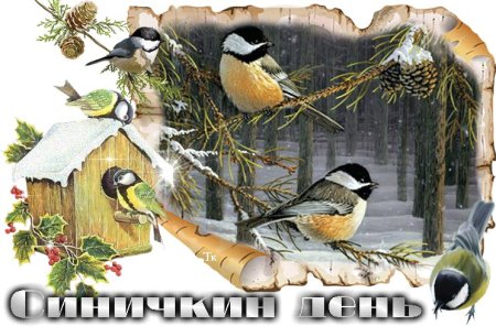 12 Ноября день птиц синички-