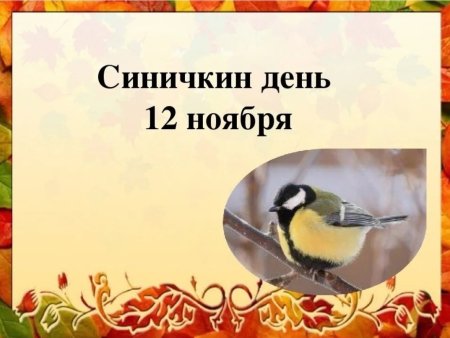 12 Ноября день синички Синичкин день