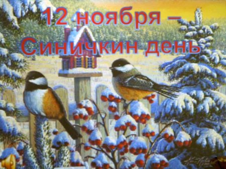 День птиц в ноябре
