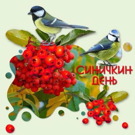 12 Ноября день птиц синички-