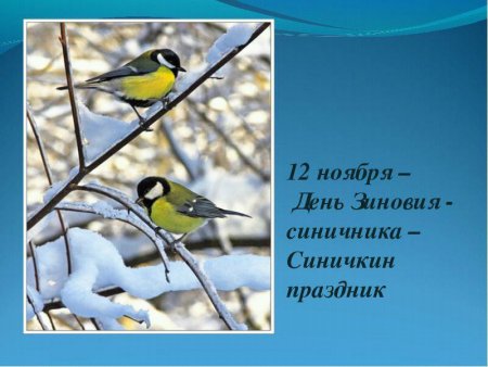 Синичкин праздник 12 ноября