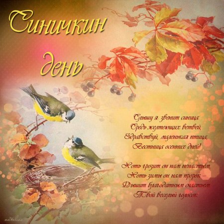 День синички