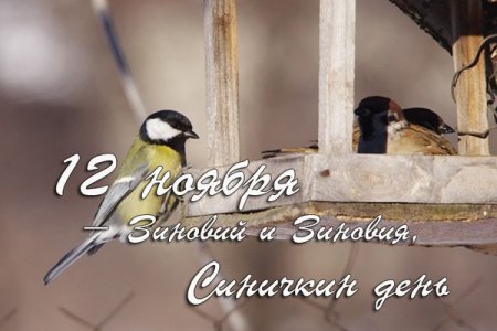 Зиновий синичник 12 ноября