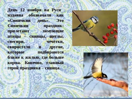 12 Ноября день синички Синичкин день