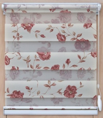 Жалюзи день ночь