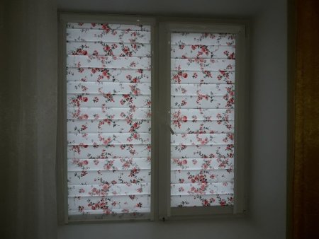 Рулонные шторы день ночь с рисунком