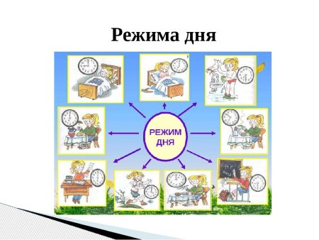 Рисунок на тему распорядок дня