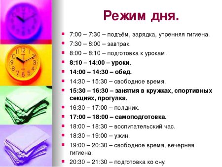 Распорядок дня