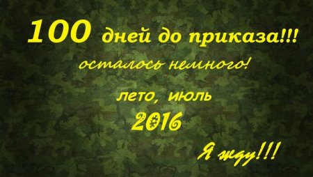 СТО дней до приказа поздравляю