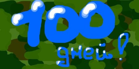 100 Дней службы
