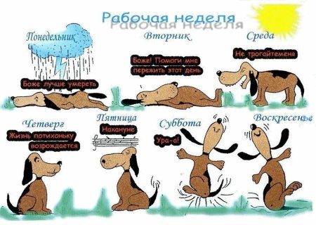 После рабочего дня прикол