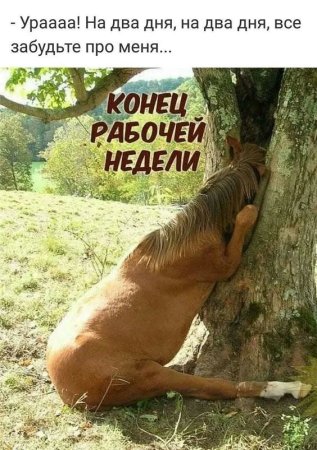 Суслик с сердечком