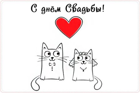 Открытки с днем свадьбы прикольные
