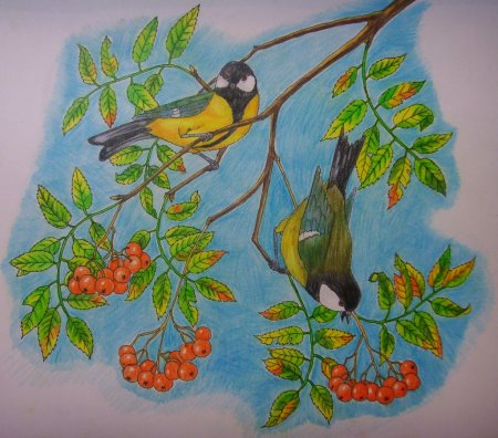 Рисунок ко Дню птиц