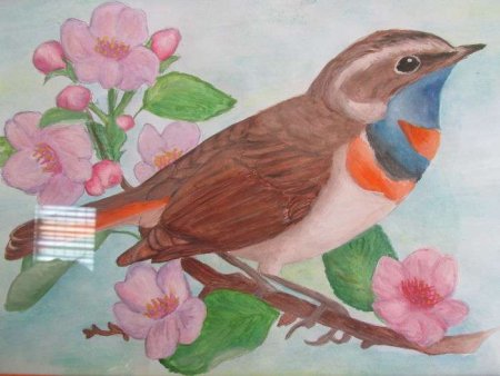 Рисование птицы на ветке